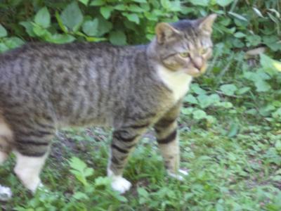 Richard Parker outside