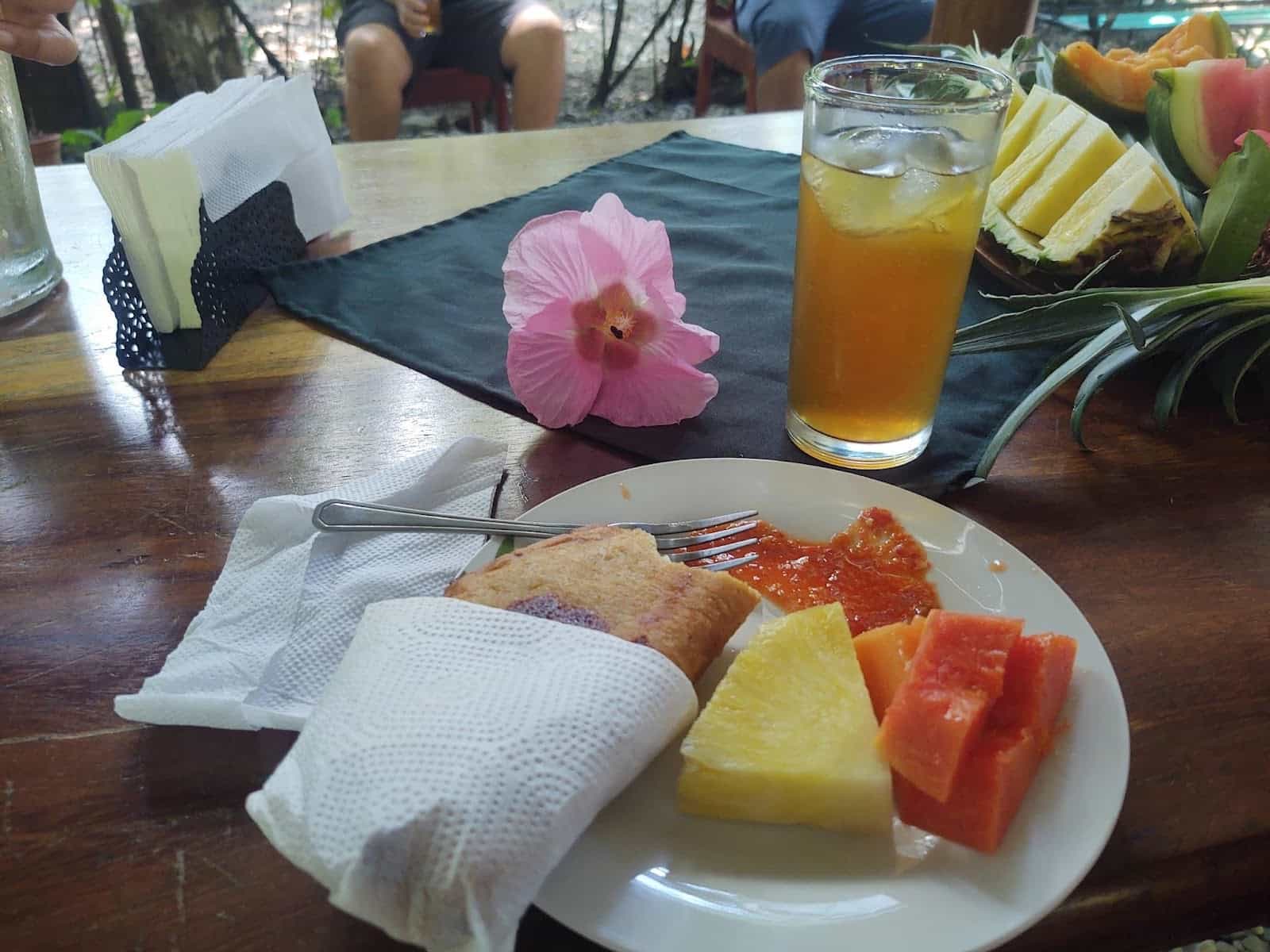 A Plate With an Empanada Wrapped in a Napkin and Fruit. There Is a Glass of Juice and a Hibiscus Flower. More Fruit in the Background