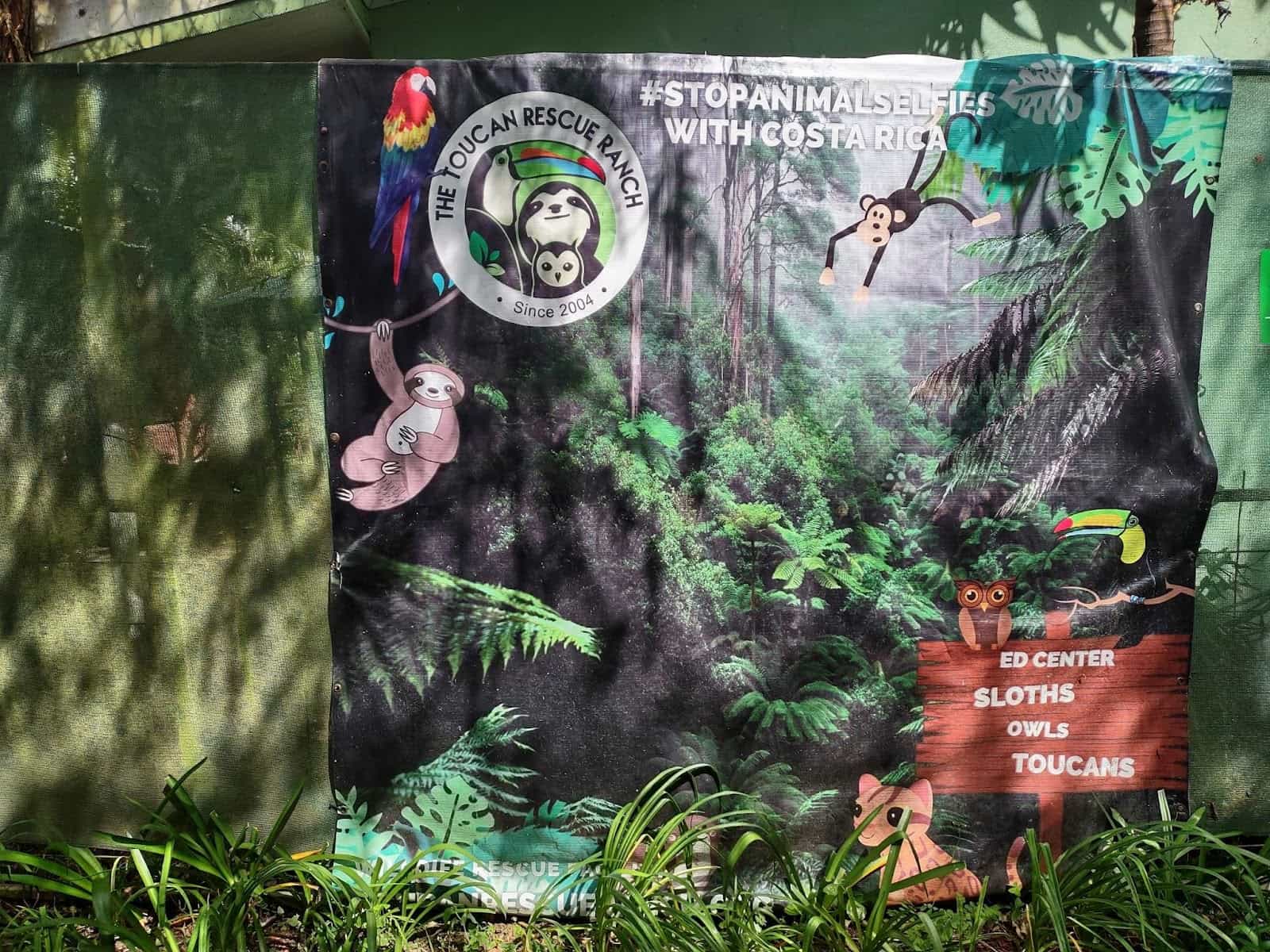 A Banner About Stop Animal Selfies A Banner About Stop Animal Selfies