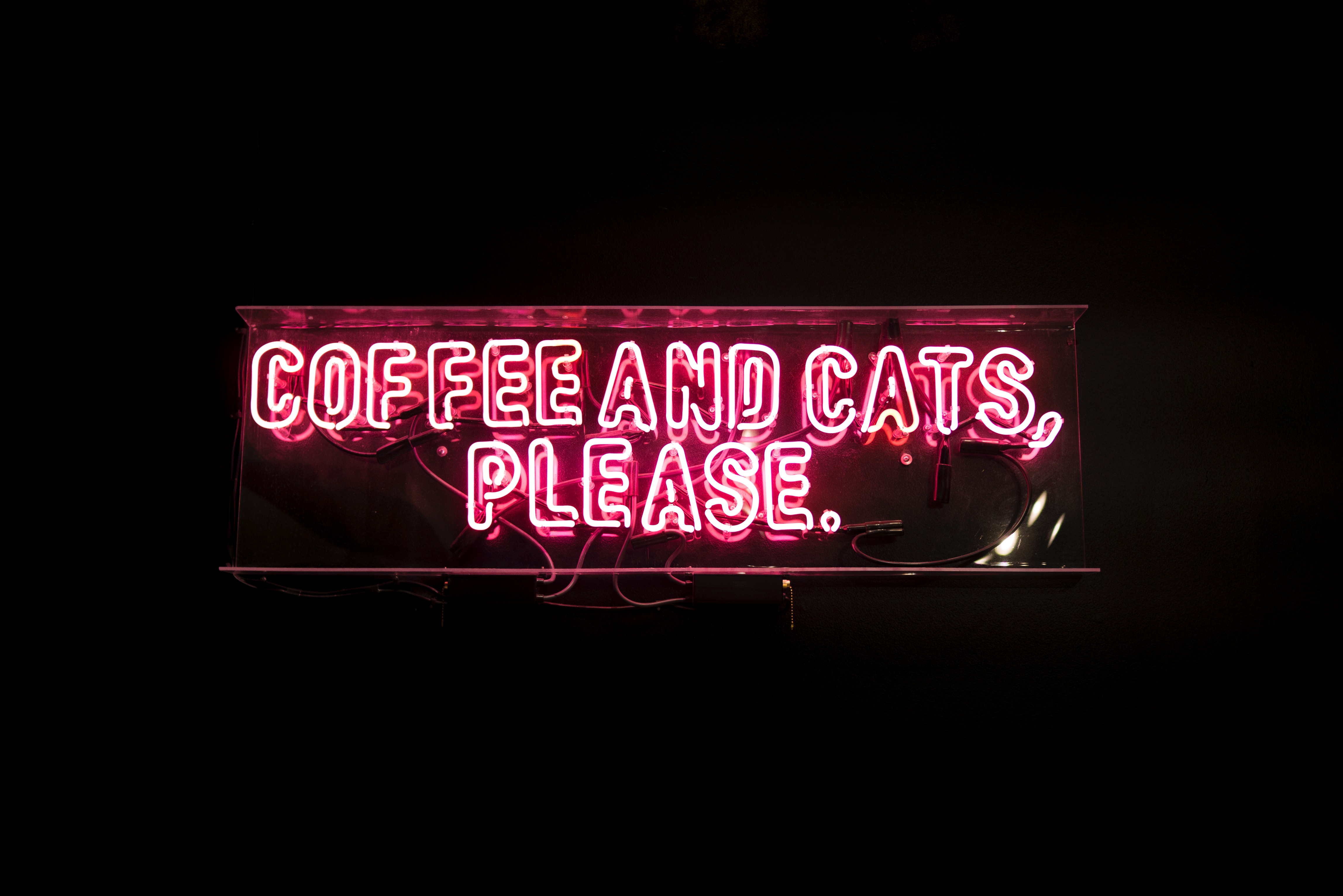 Coffee and Cats, Please Pink Neon Sign. Coffee and Cats, Please Pink Neon Sign.