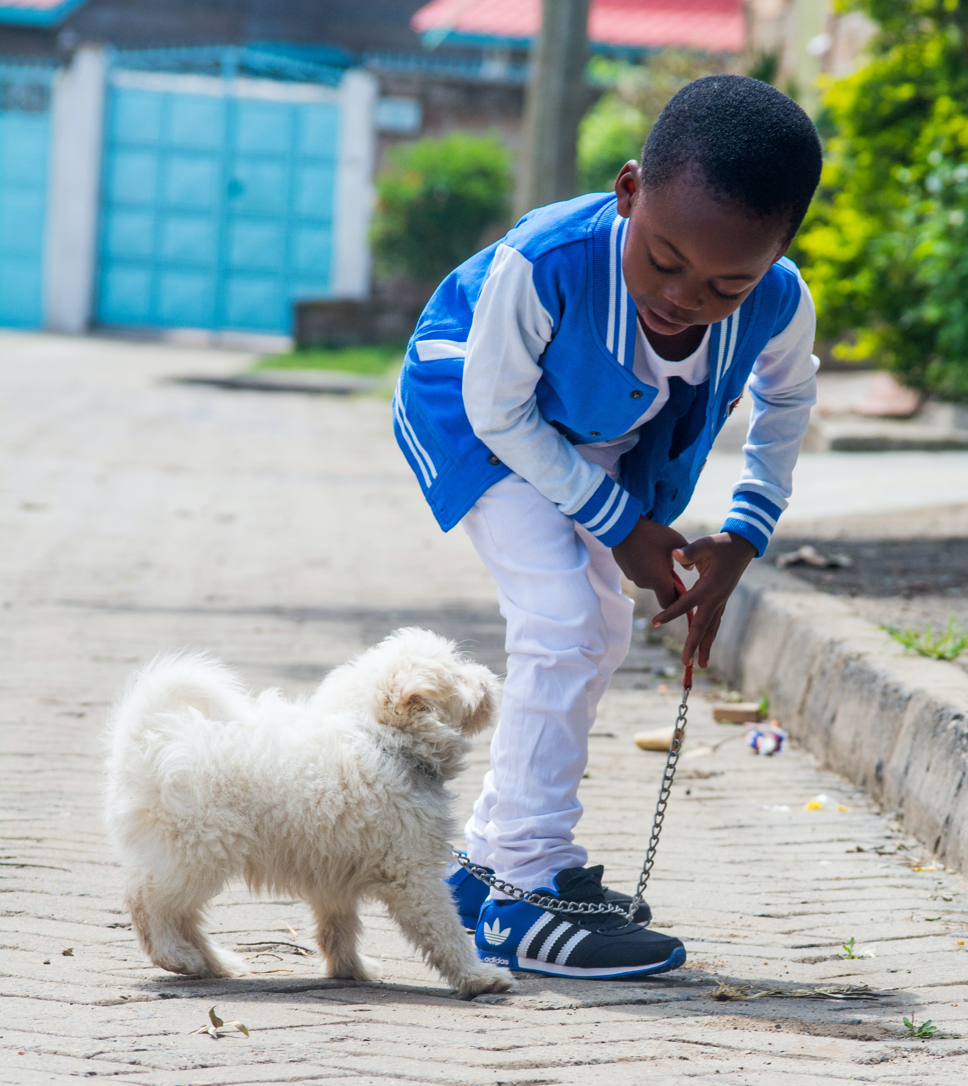 Child Taking Care of His Rescue Dog on a Leash Child Taking Care of His Rescue Dog on a Leash