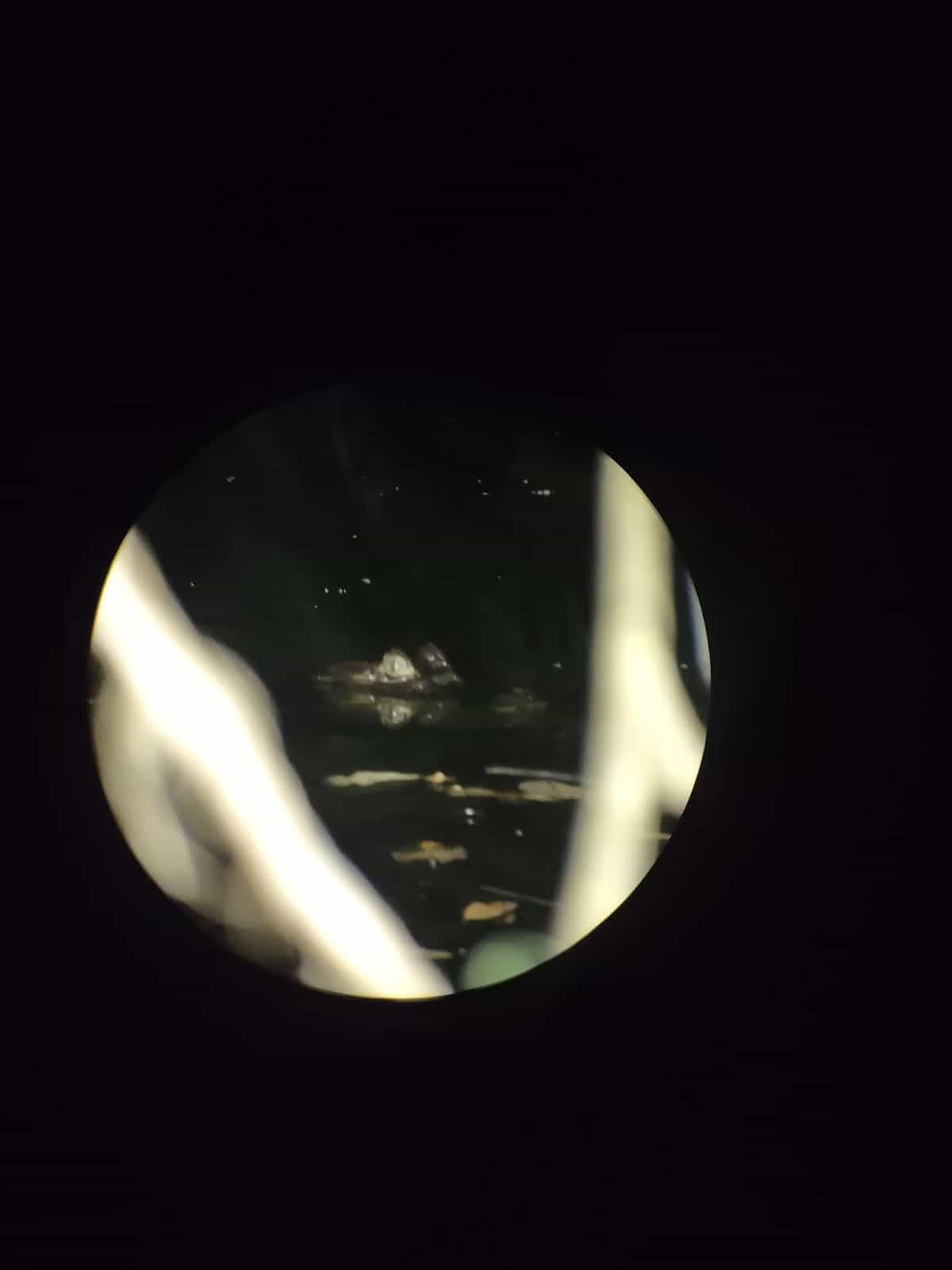 Caiman’s Eyes Sticking Out of the Water As Seen Through a Telescope at Night