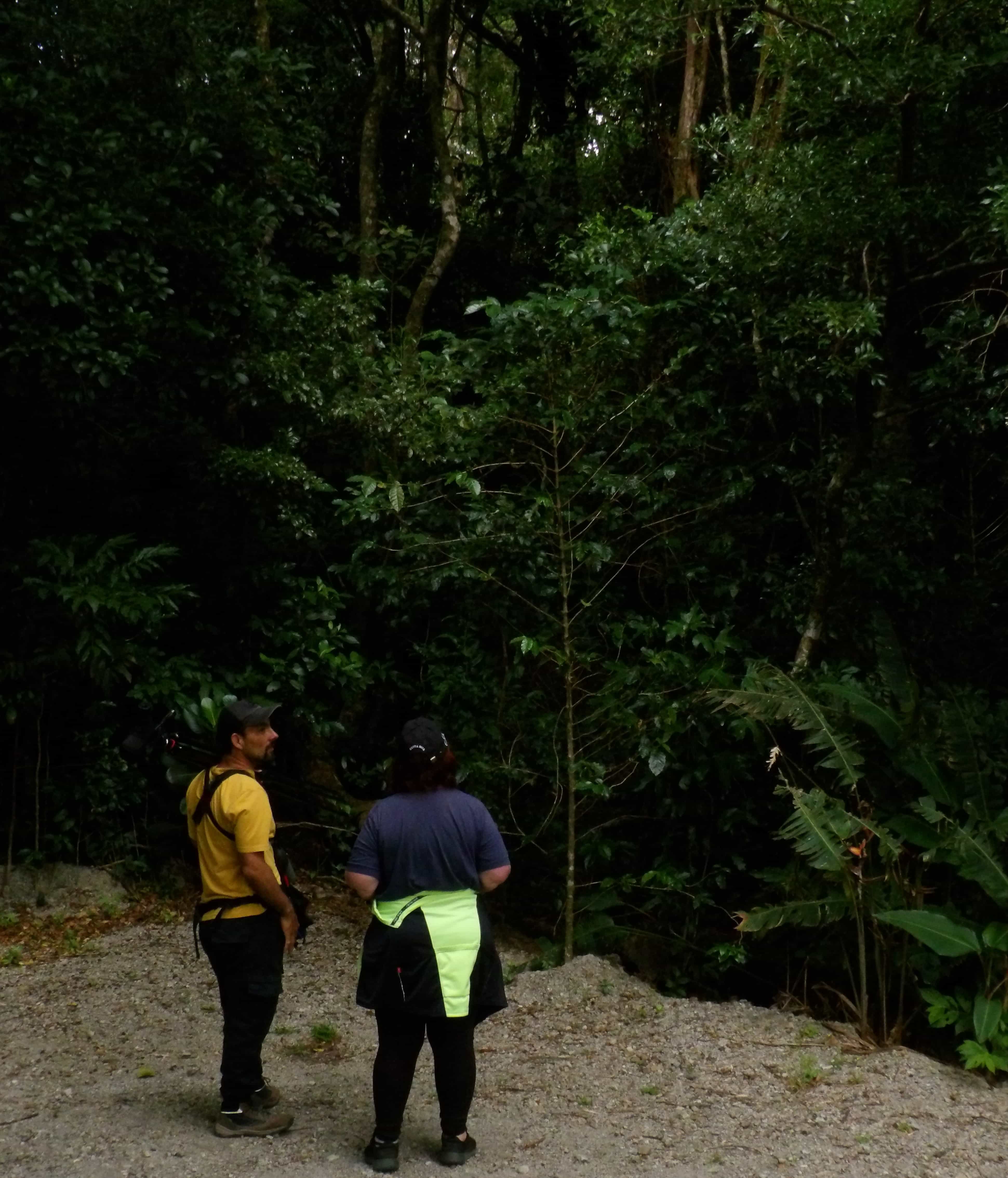 Me with Dennis, the tour guide, in Costa Rica Me with Dennis, the tour guide, in Costa Rica