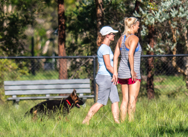 Two people and a DDog in a Fenced-In Dog Park