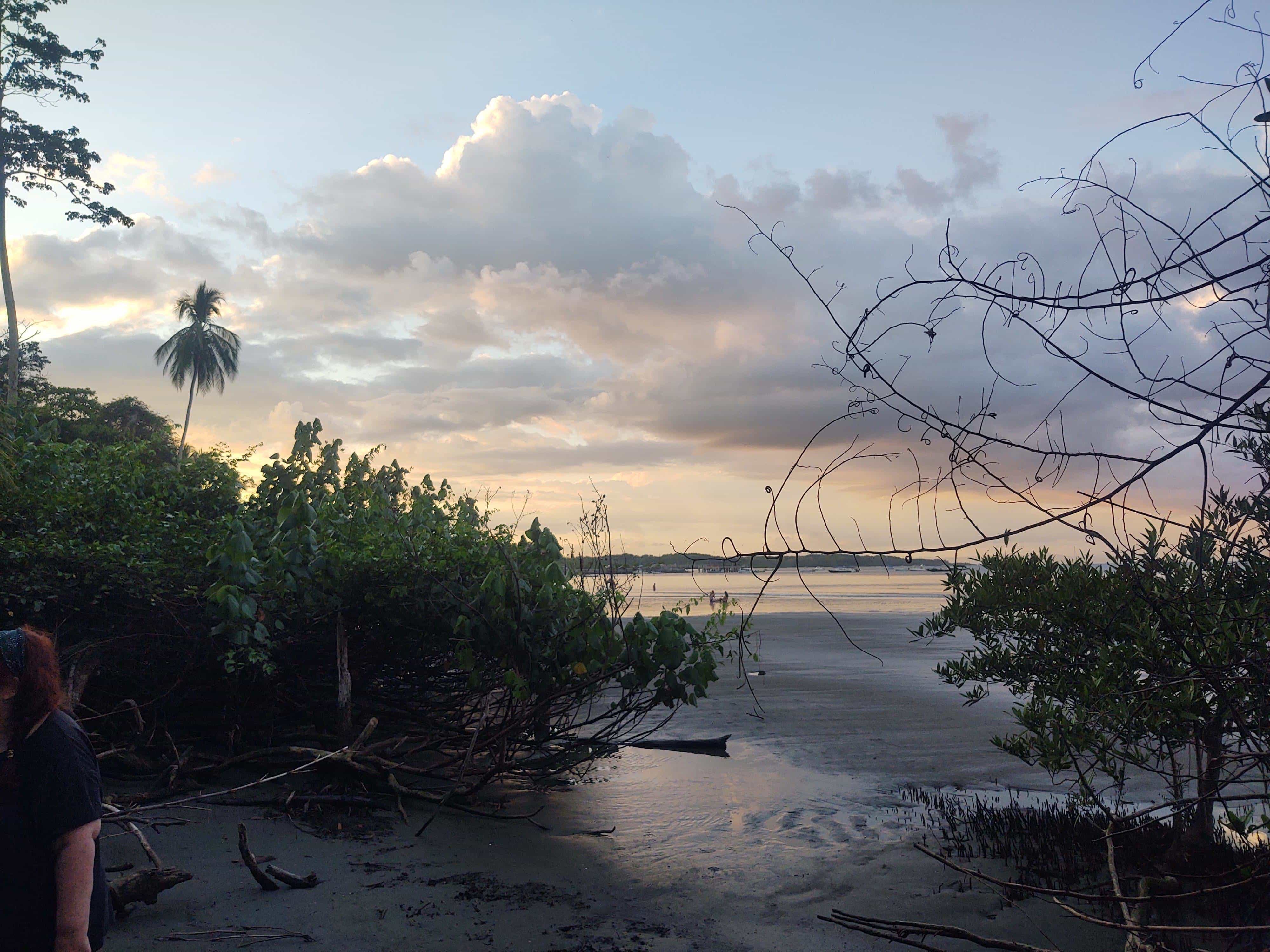 A View of the Beach in Uvita Through the Trees A View of the Beach in Uvita Through the Trees