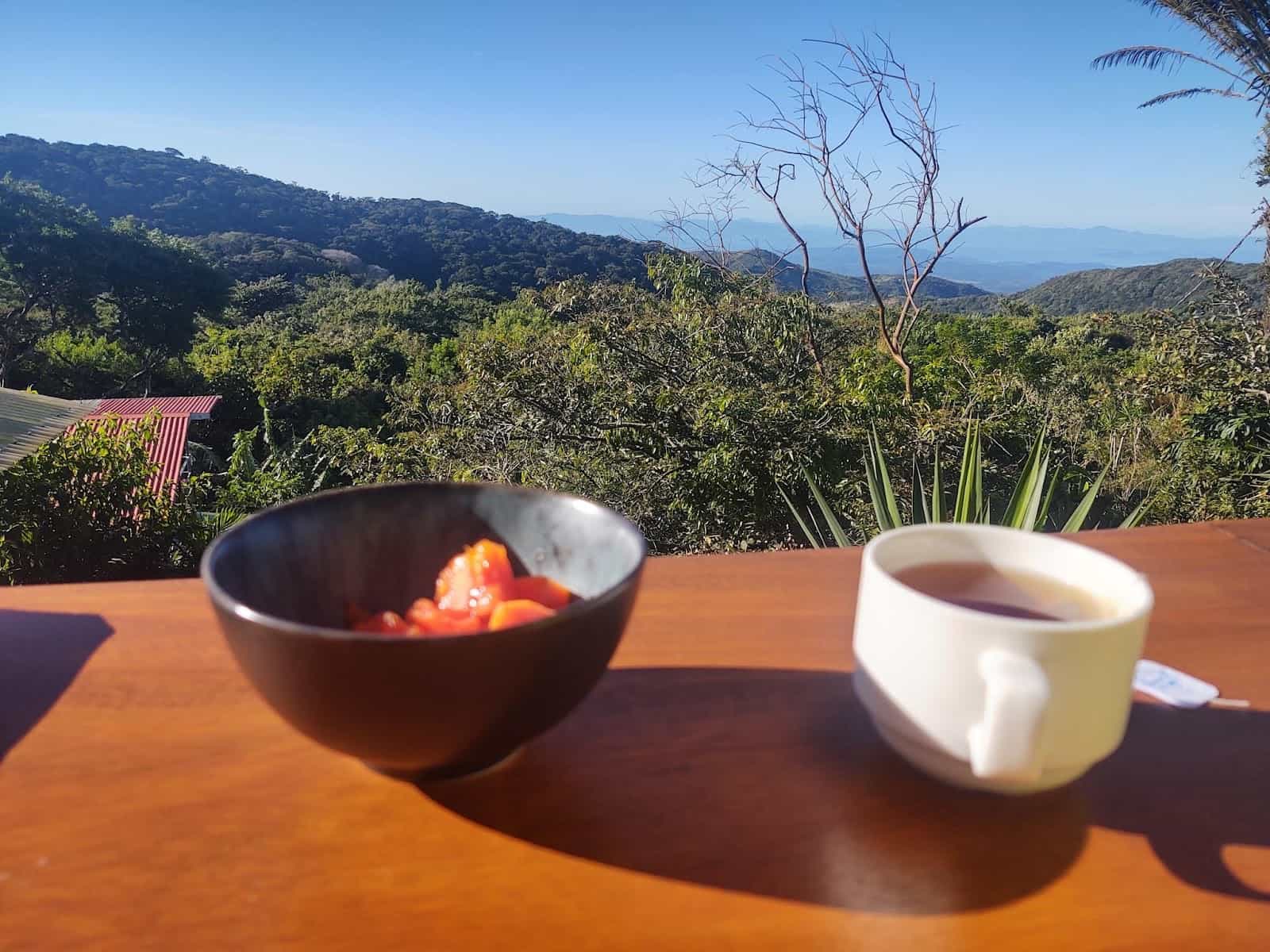 some juice and a bowl of granola with a mountain view in the background