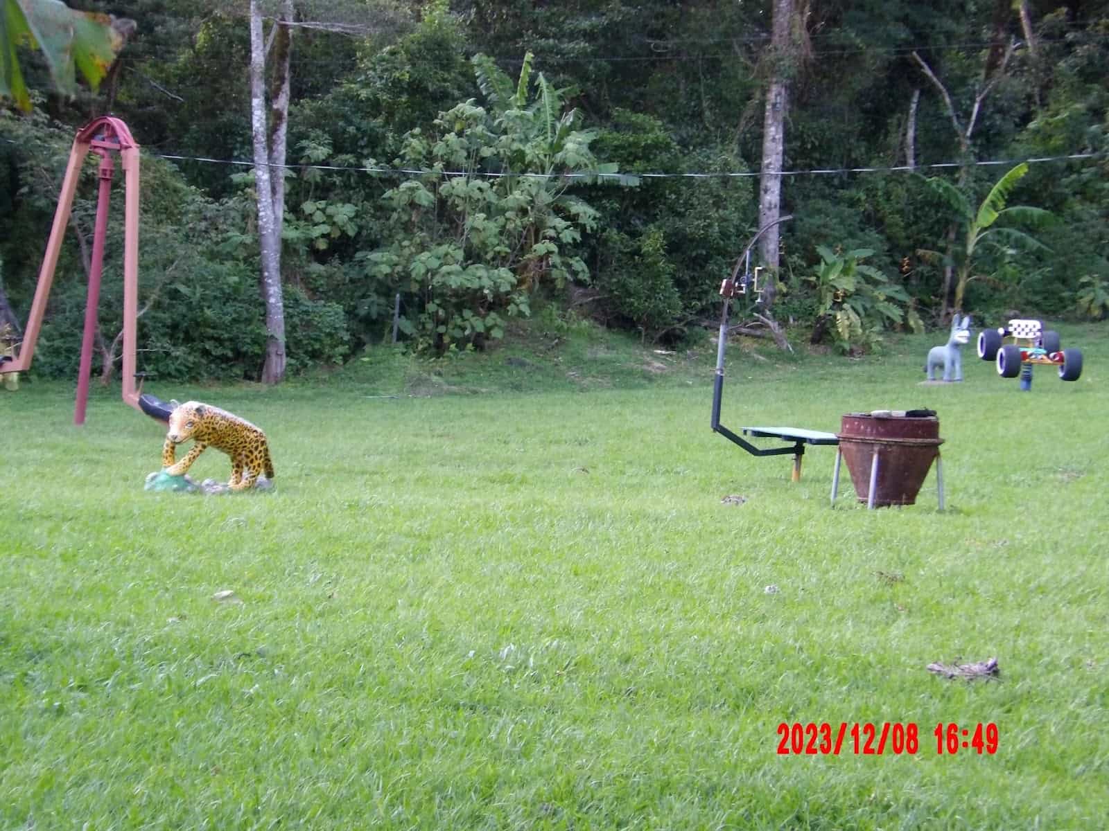 Another Shot of the Playground That We Saw During Our Ecotourism Trip to Cost Rica Another Shot of the Playground That We Saw During Our Ecotourism Trip to Cost Rica