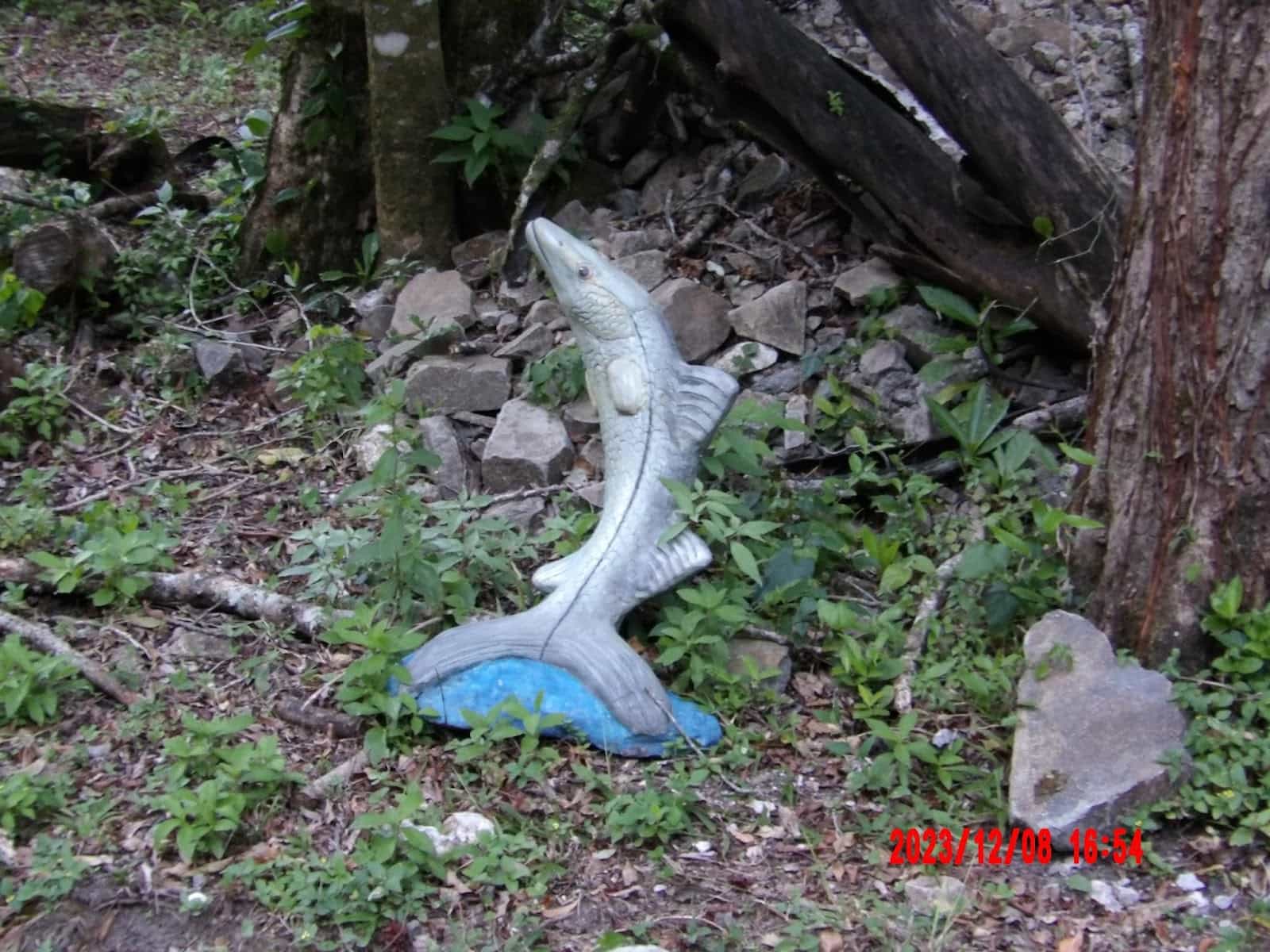 A Cute Little Statue of a Dolphin at the Side of the Road That We Saw During Our Ecotourism Trip to Cost Rica A Cute Little Statue of a Dolphin at the Side of the Road That We Saw During Our Ecotourism Trip to Cost Rica
