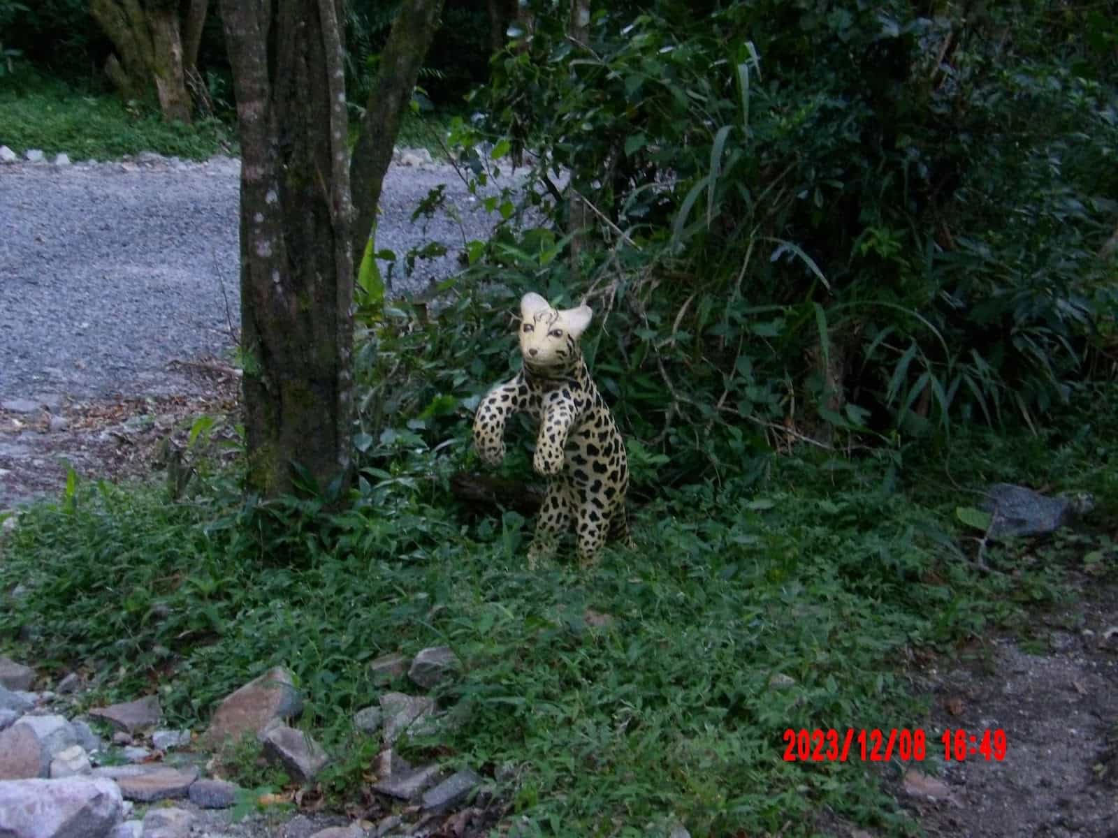 Cute Little Statue of a Leopard on the Side of the Road That We Saw During Our Ecotourism Trip to Cost Rica Cute Little Statue of a Leopard on the Side of the Road That We Saw During Our Ecotourism Trip to Cost Rica