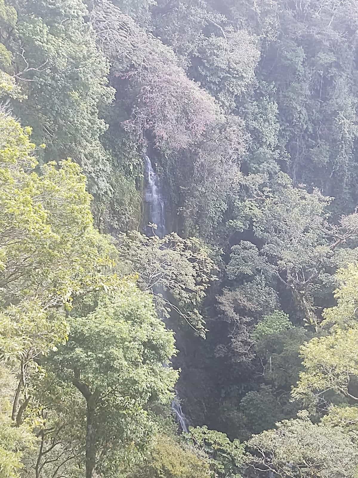 AWaterfall in the Forest