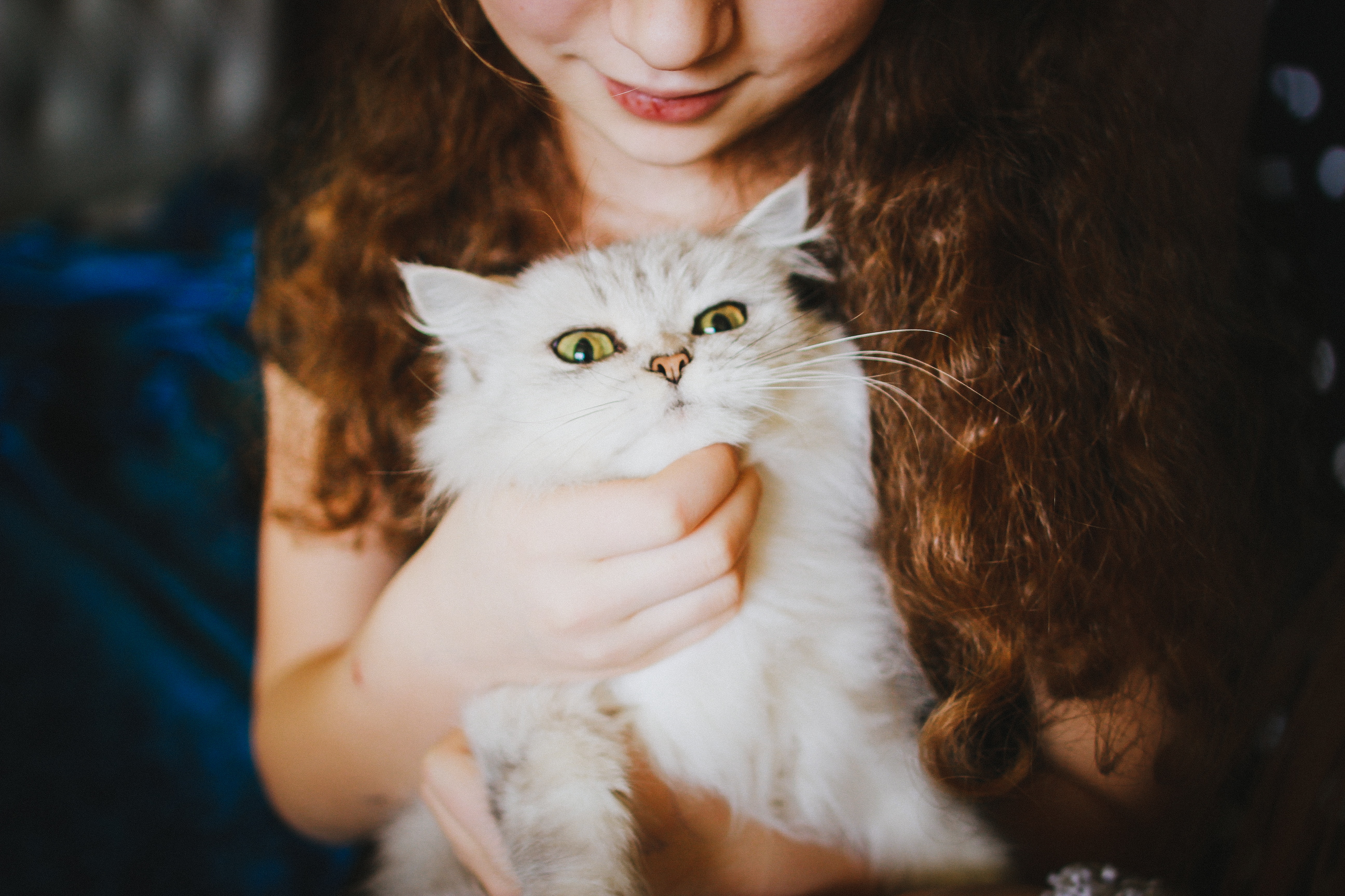 A Smiling Woman Cuddling a Cat A Smiling Woman Cuddling a Cat