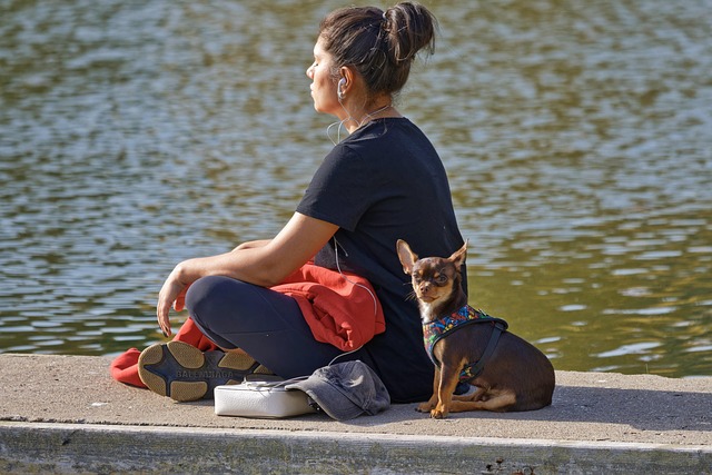 Pet owner practicing animal communication with humans using visualization and intuition.