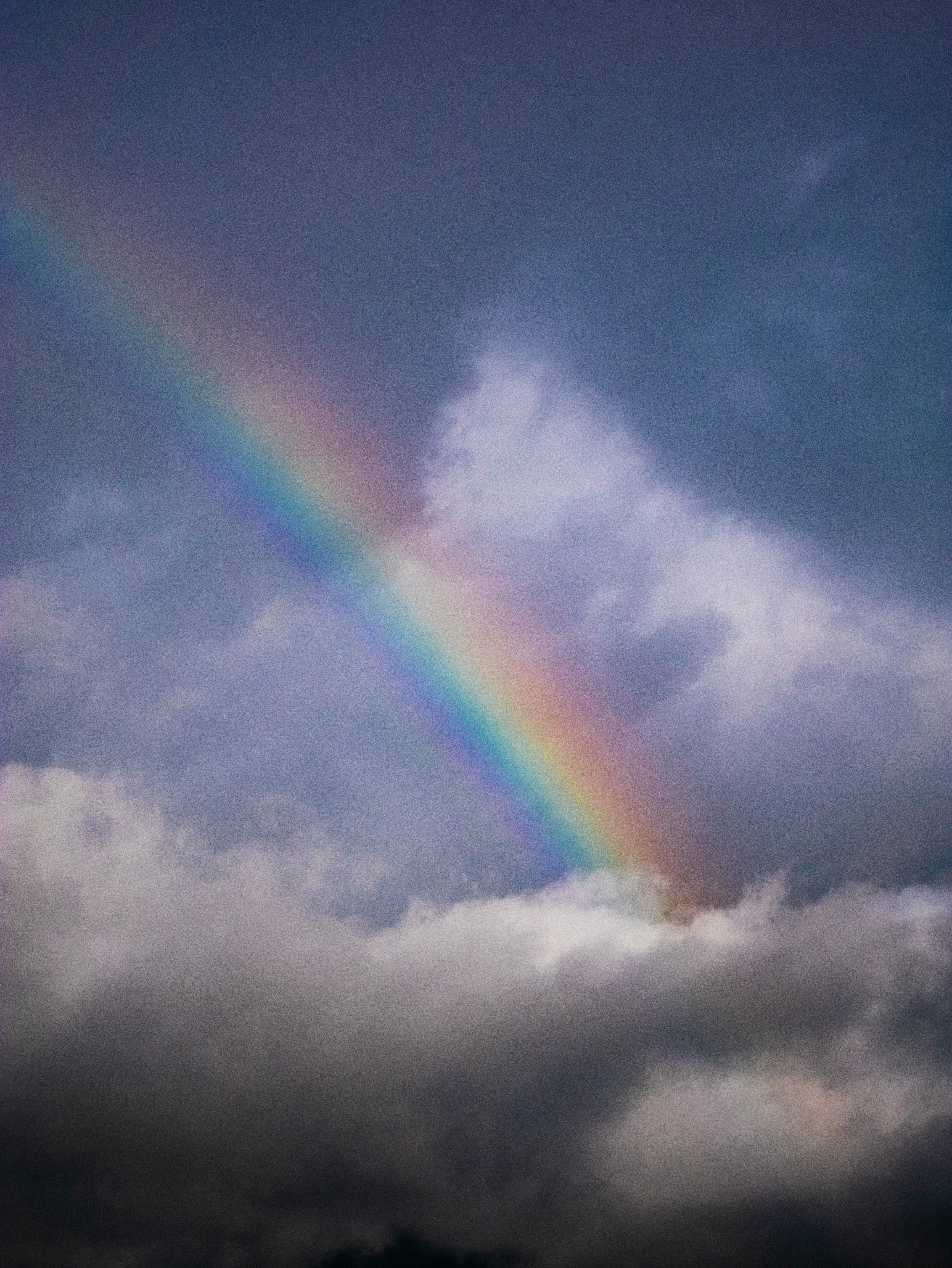 Clouds With a Rainbow. The Rainbow Poem Helps Some People Dealing With Pet Death Clouds With a Rainbow. The Rainbow Poem Helps Some People Dealing With Pet Death